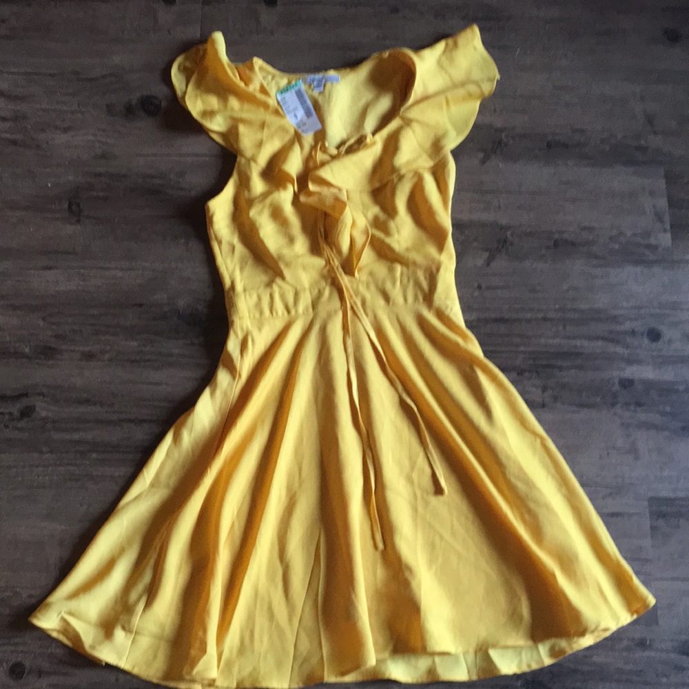 NWT Papaya summer dress